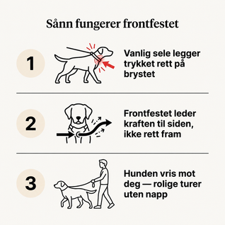 Vovly - Kontrollsele