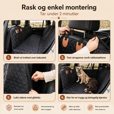 Baksete Lounge – Hundetrekk til Bil