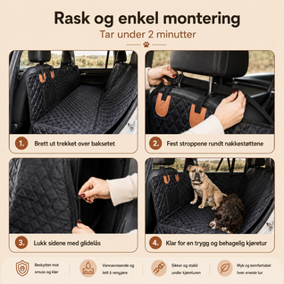 Baksete Lounge – Hundetrekk til Bil